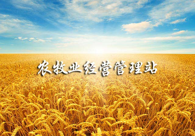 呼和浩特市赛罕区农业经营管理站